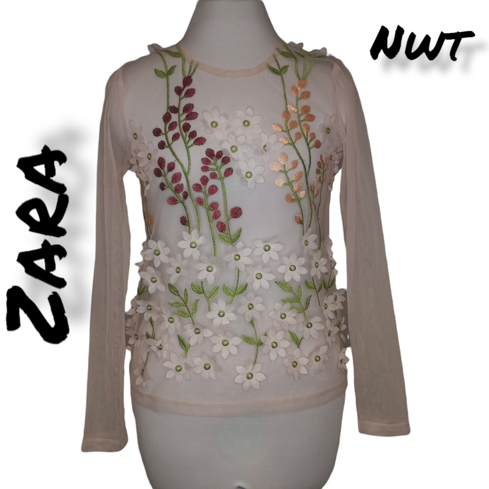 Zara Women's Crew Neck Long Sleeve Sheer Floral Embroidery Top Blouse Size Small